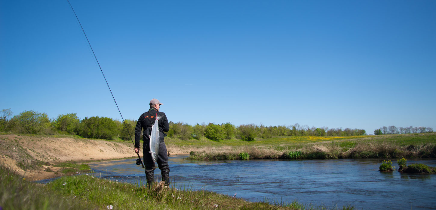 Skjern Å (Skjern stream)