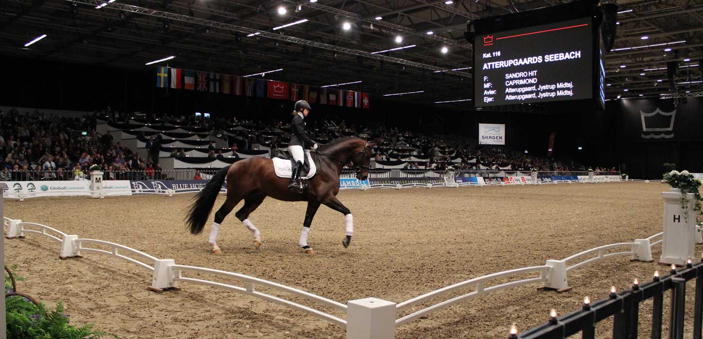 Hest & Rytter