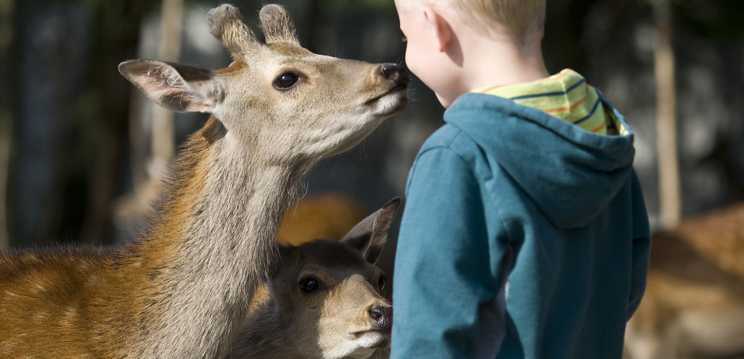 Jyllands Park Zoo