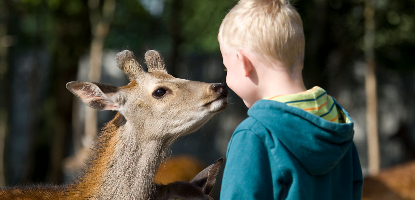 Jyllands Park Zoo