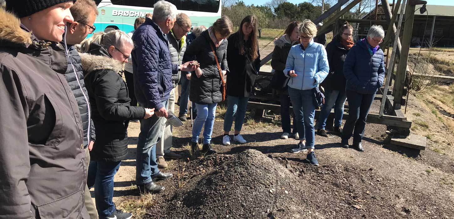 Guided tours