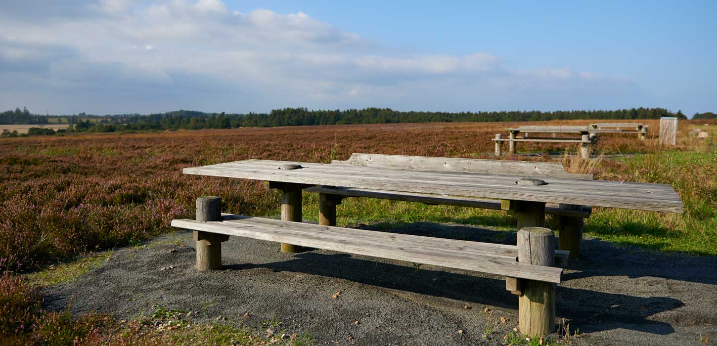 Præstbjerg Naturcenter (Praestbjerg nature center) 