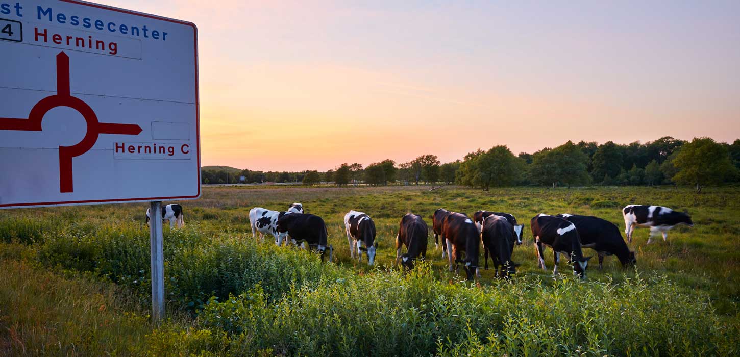 Natur ved Herning