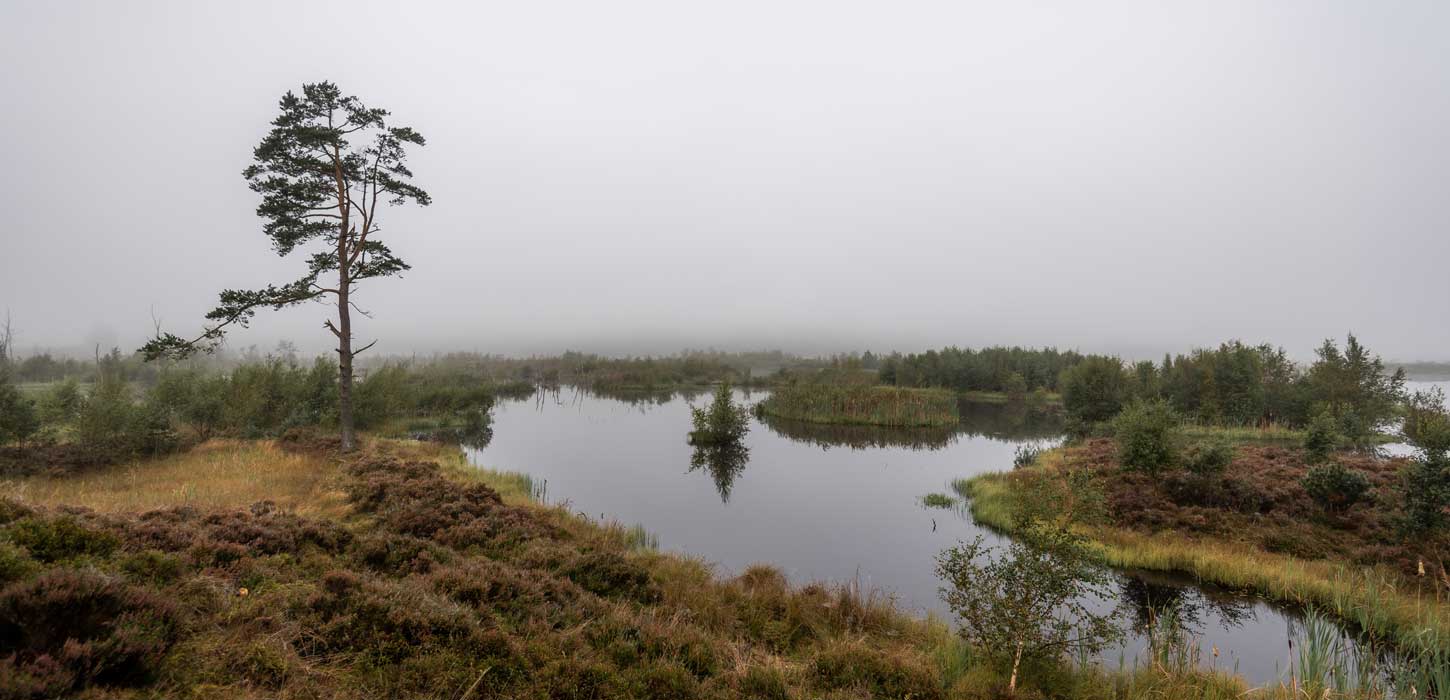 Bølling Sø