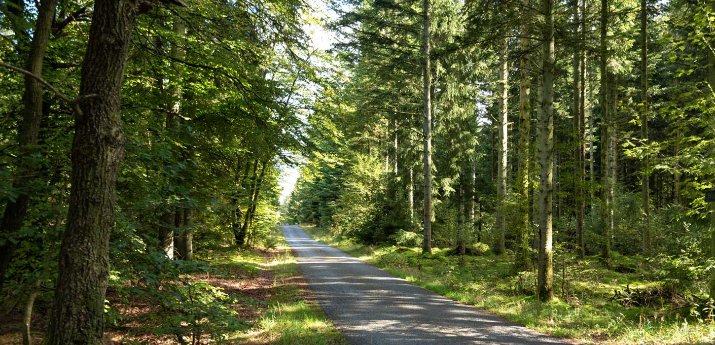 Hjortestien