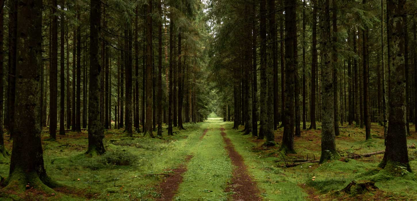 Kilderuten