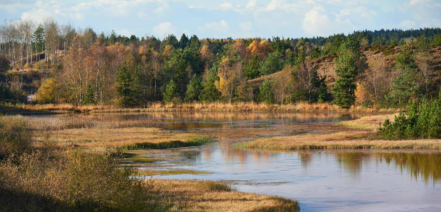 Søby Brunkul