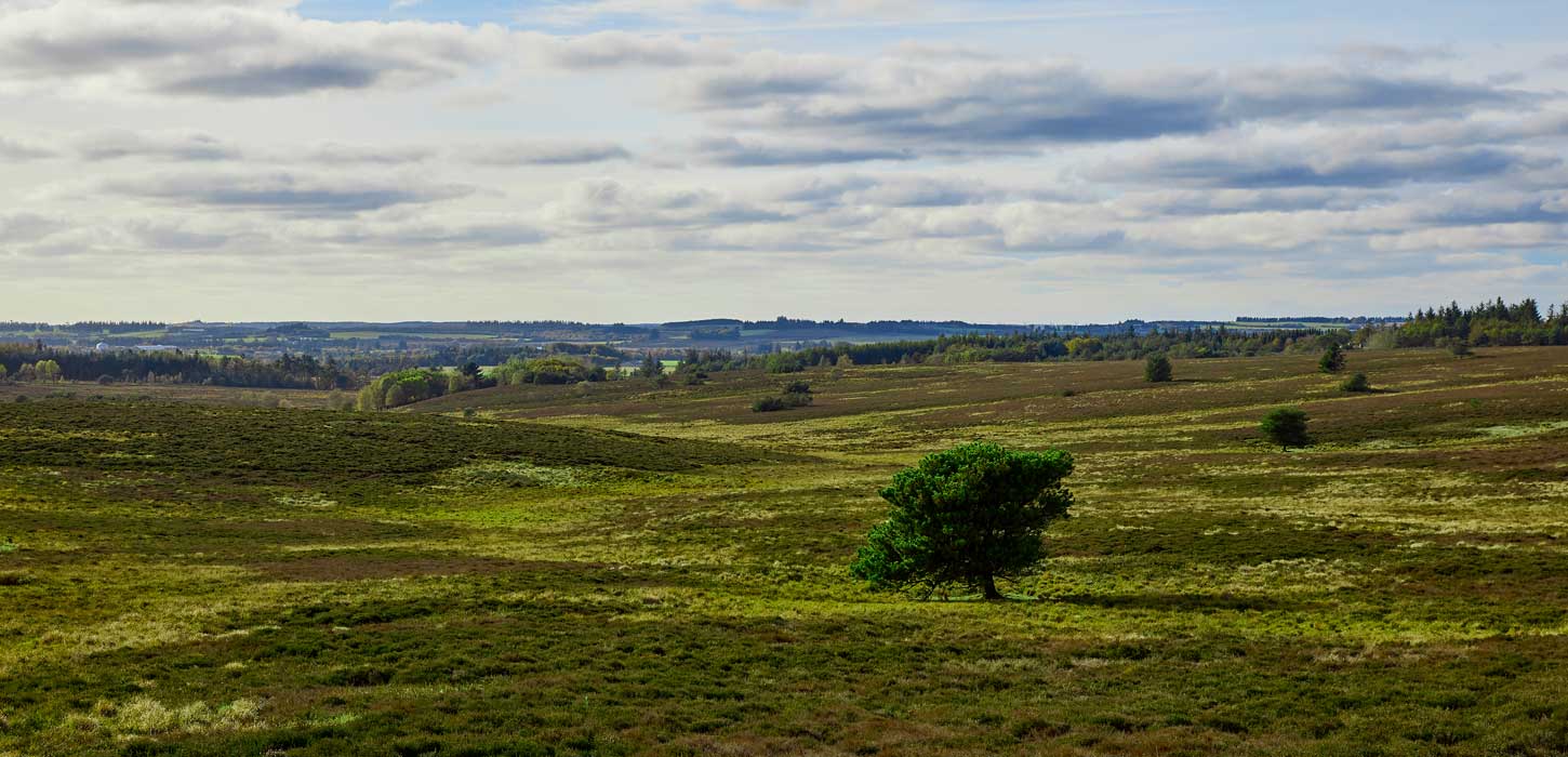 Trehøje (Trehoeje)