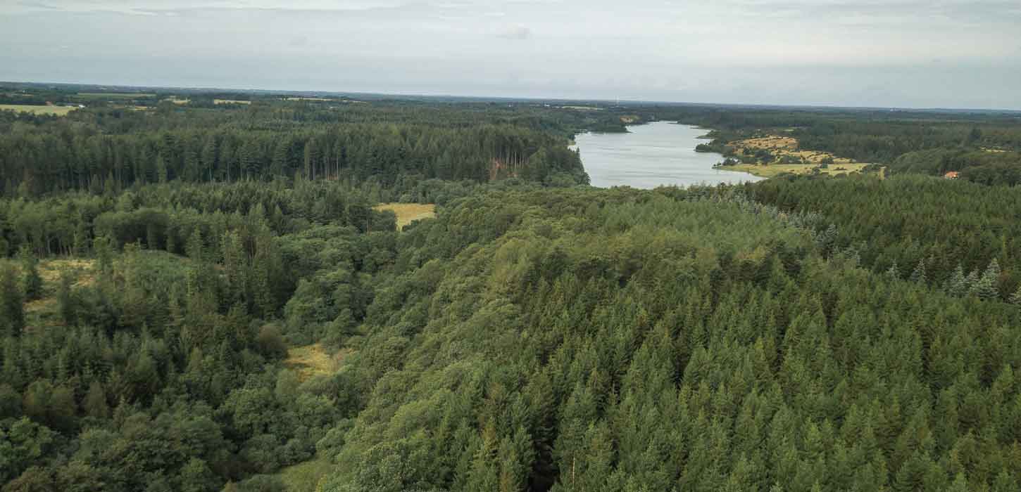 Rørbæk Sø