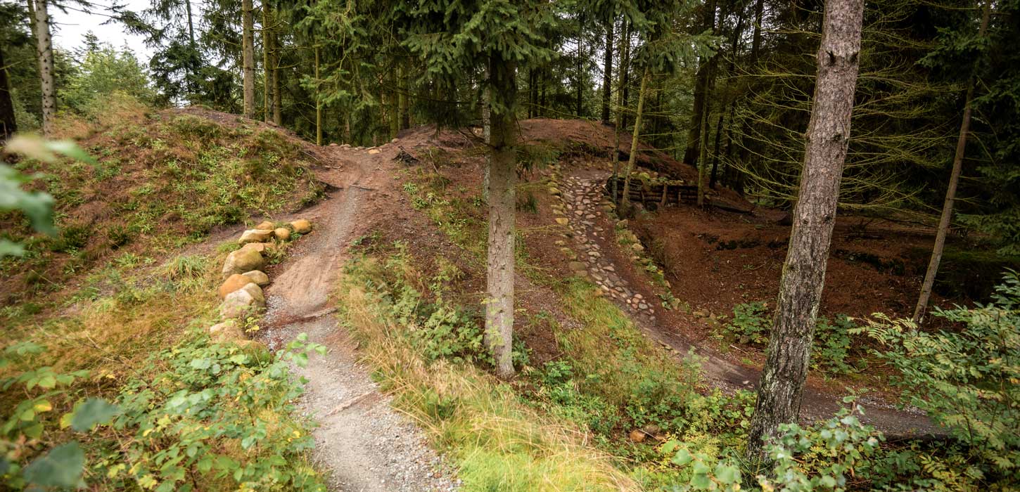 Mountainbikerute i Skelhøje Plantage