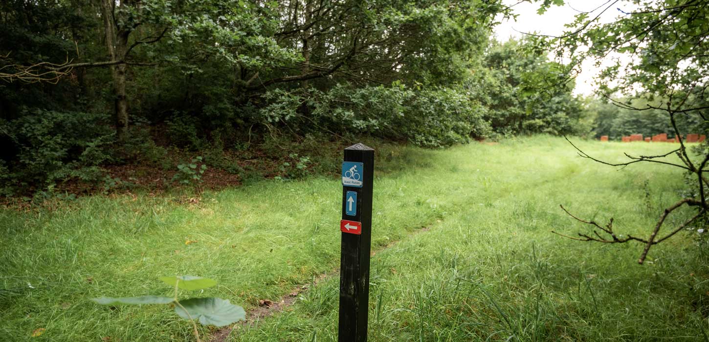 Mountainbikerute i Ikast