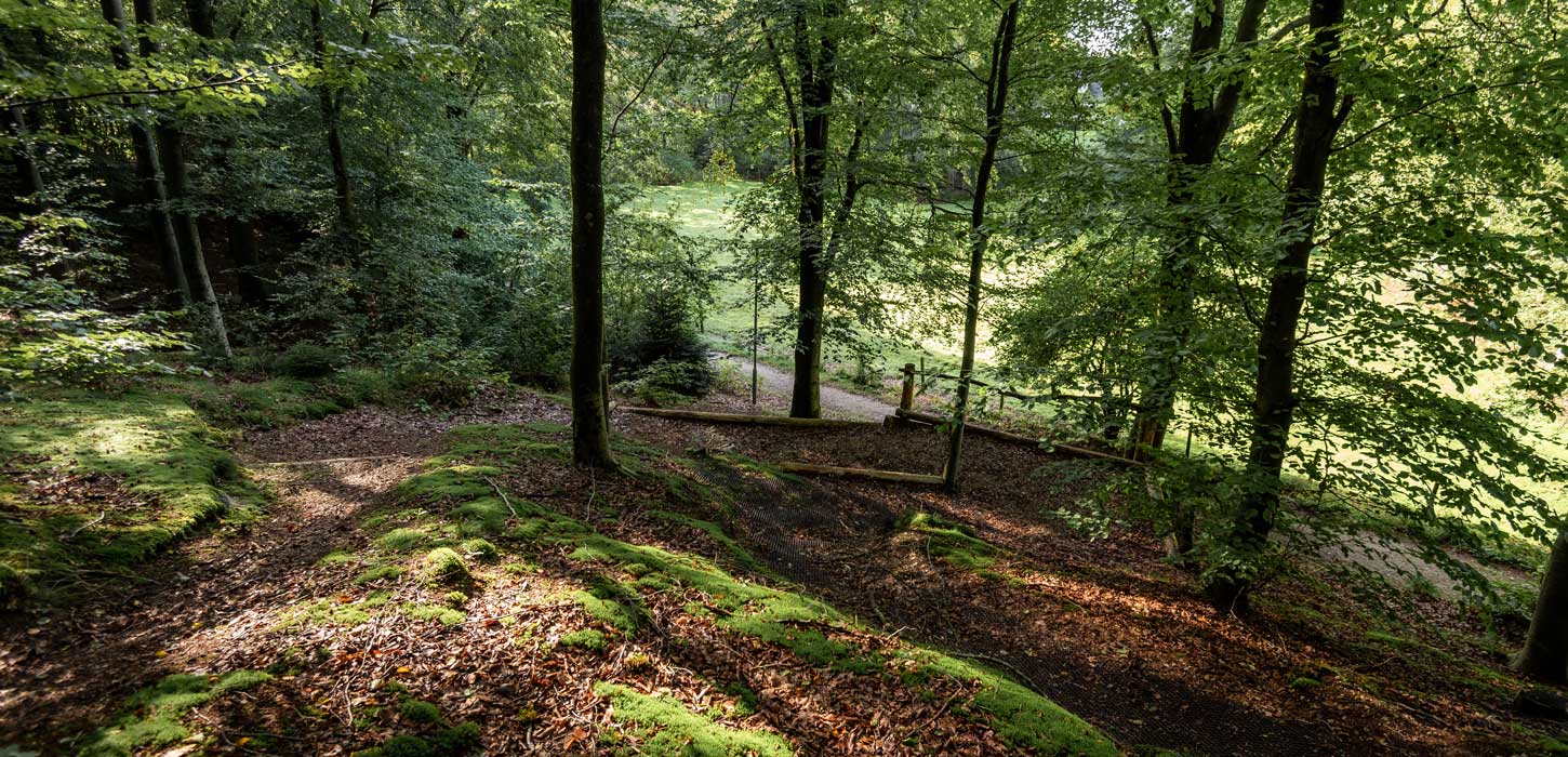 Mountainbikerute ved Ejstrupholm