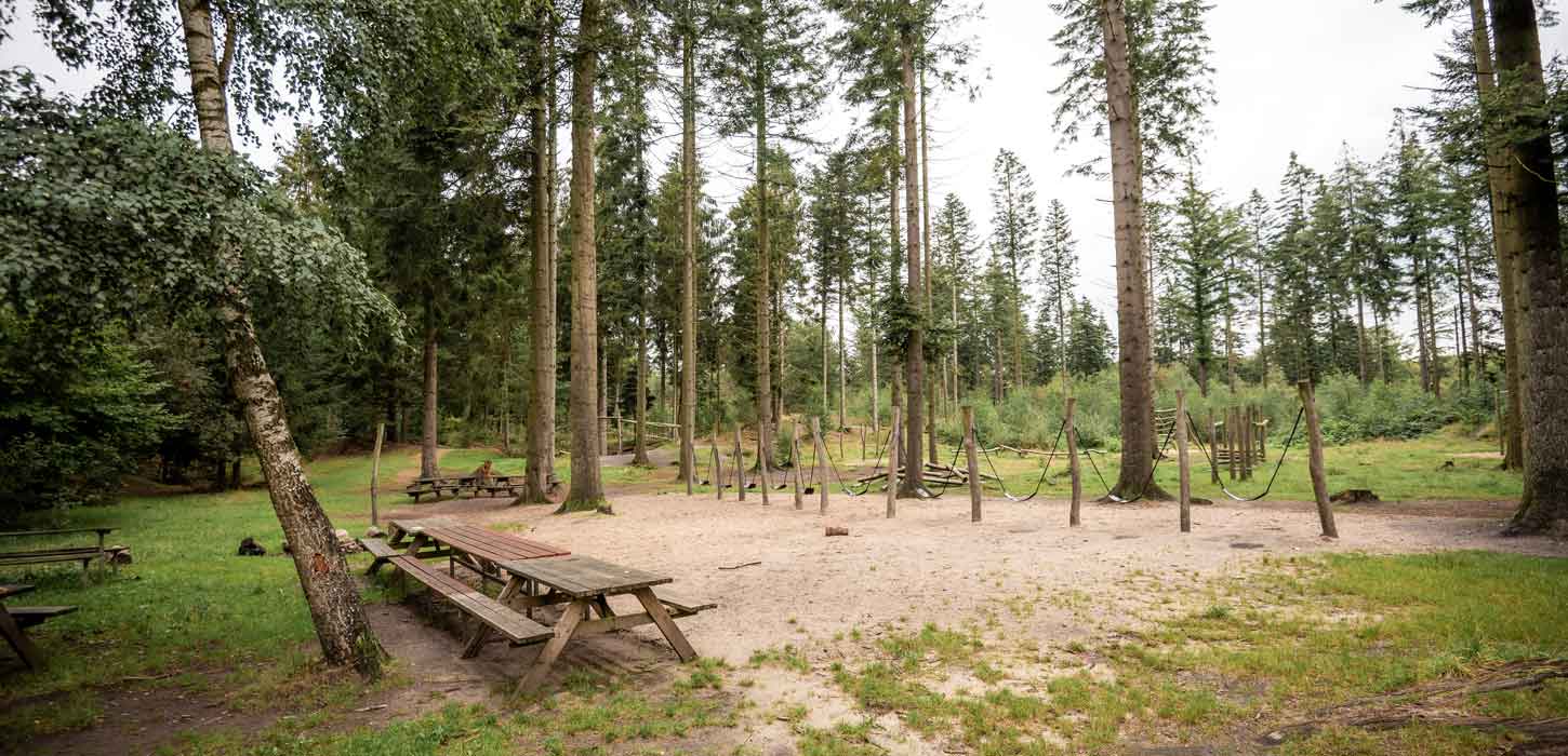 Skelhøje Plantage
