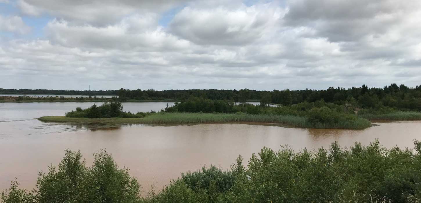 Søby Brunkulslejer