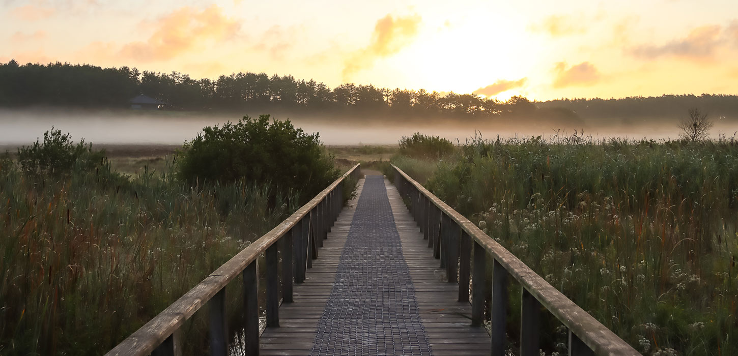 Præstbjerg natur