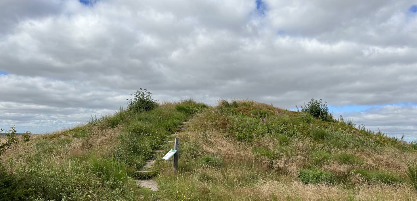 Trehøje bakke 