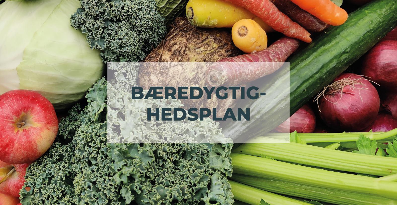 Bæredygtighedsplan