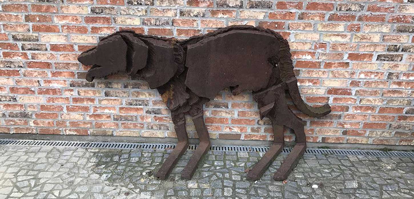 Skyggen af en hund
