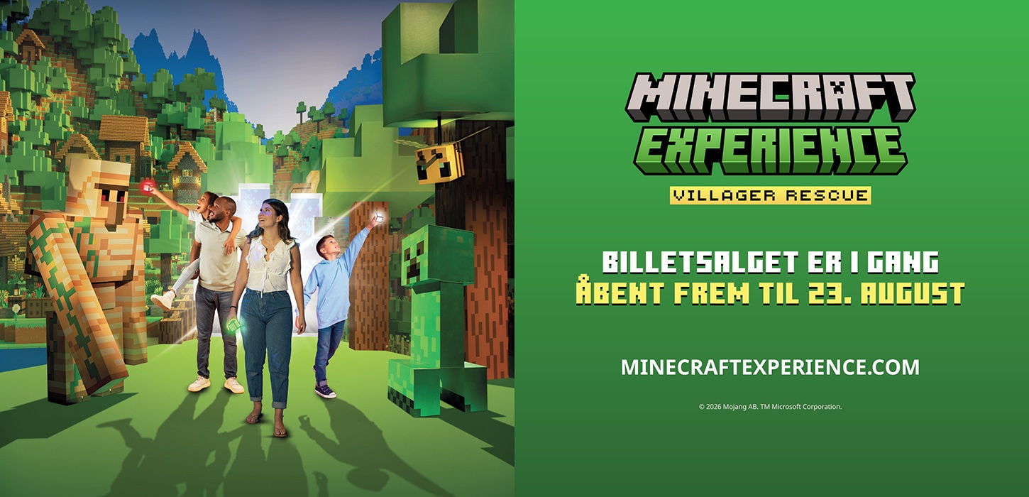 Minecraft Experience
