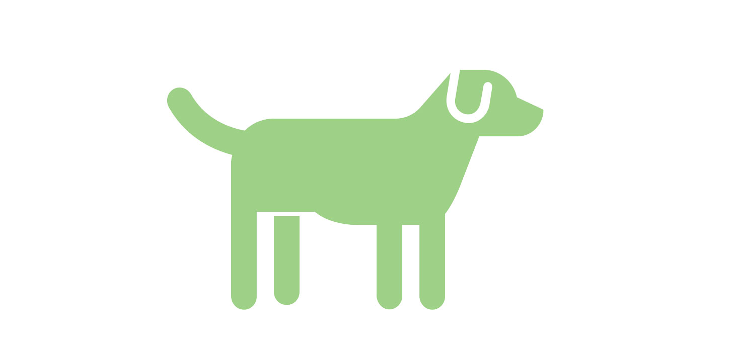 Missionen - hund