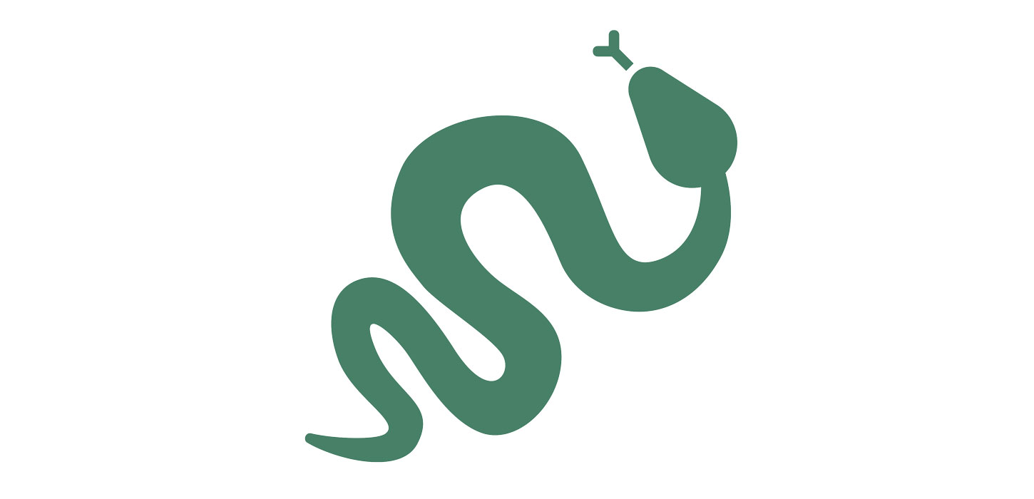 Missionen - slange