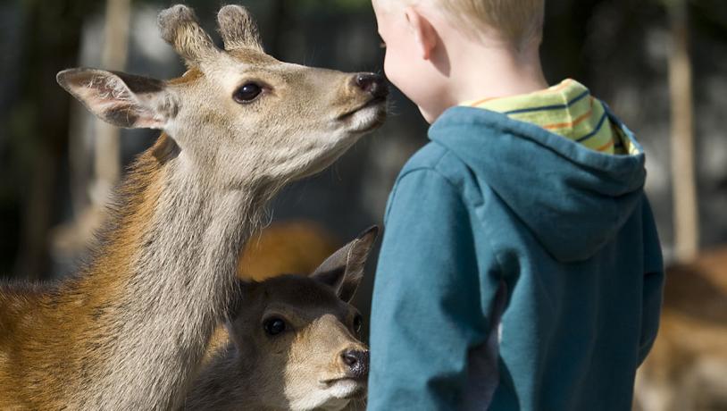 Jyllands Park Zoo