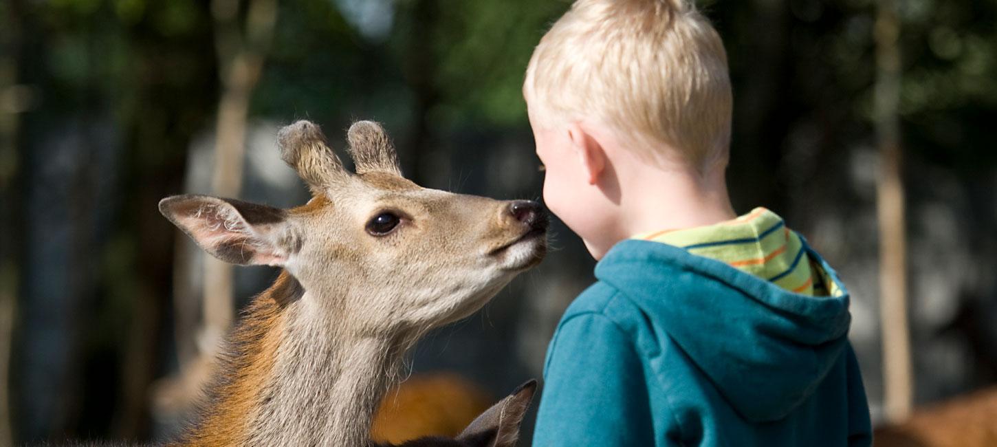 Jyllands Park Zoo