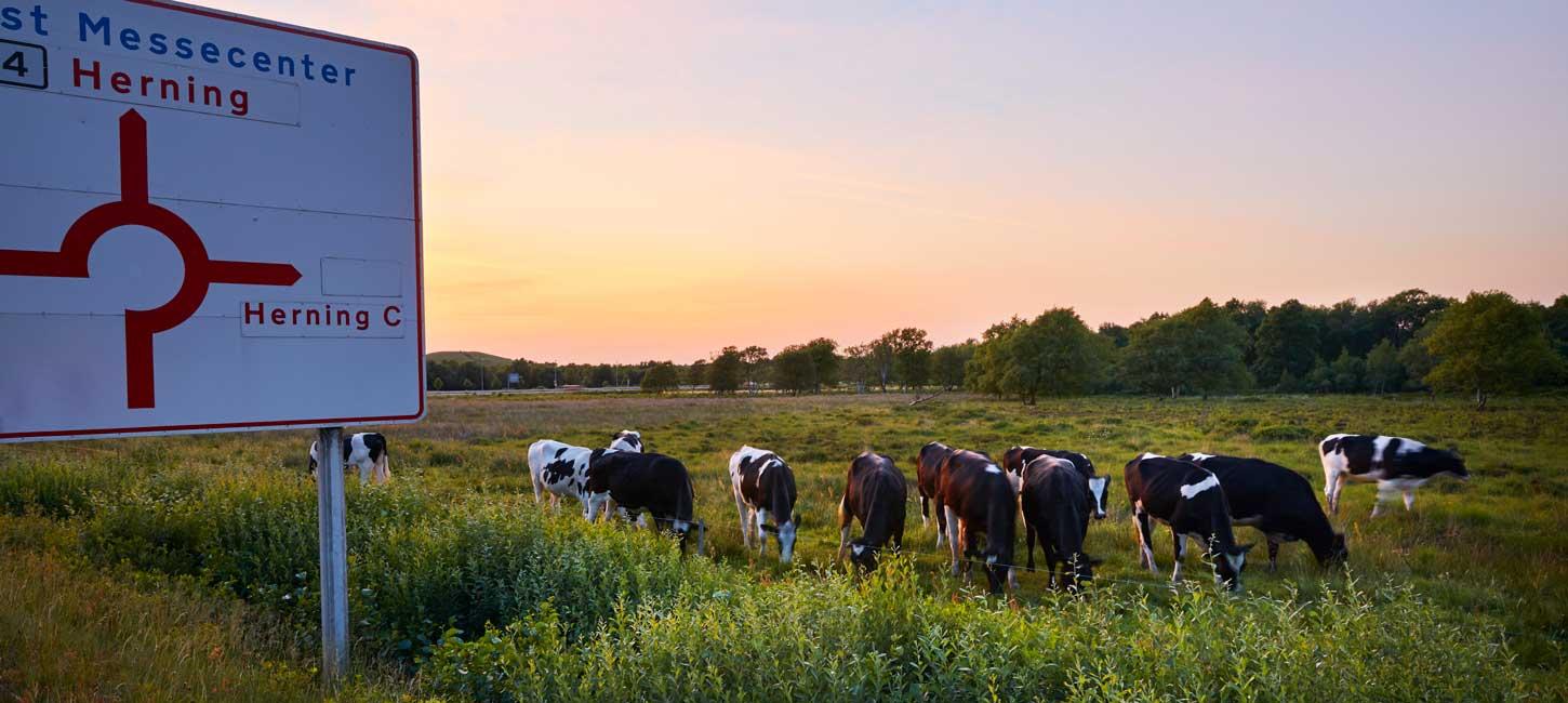 Nature by Herning
