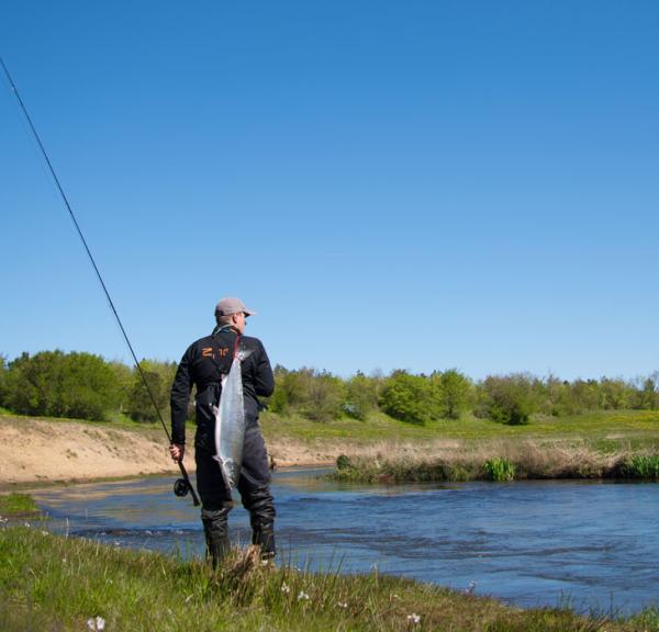 Skjern Å (Skjern stream) 