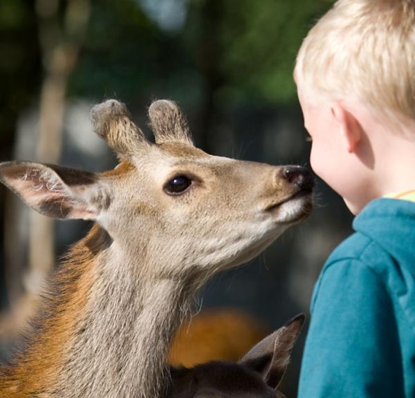 Jyllands Park Zoo