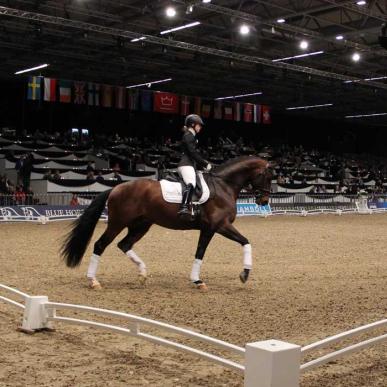 Hest & Rytter (Horse & Rider) 