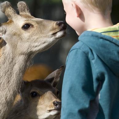 Jyllands Park Zoo