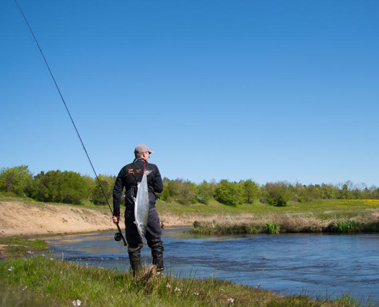 Skjern Å (Skjern stream) 